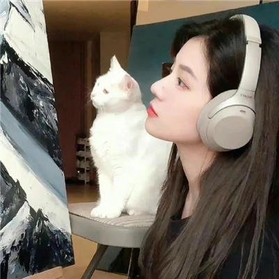 美丽失败者